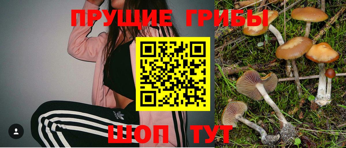 Галлюциногенные грибы прущие грибы Тверь