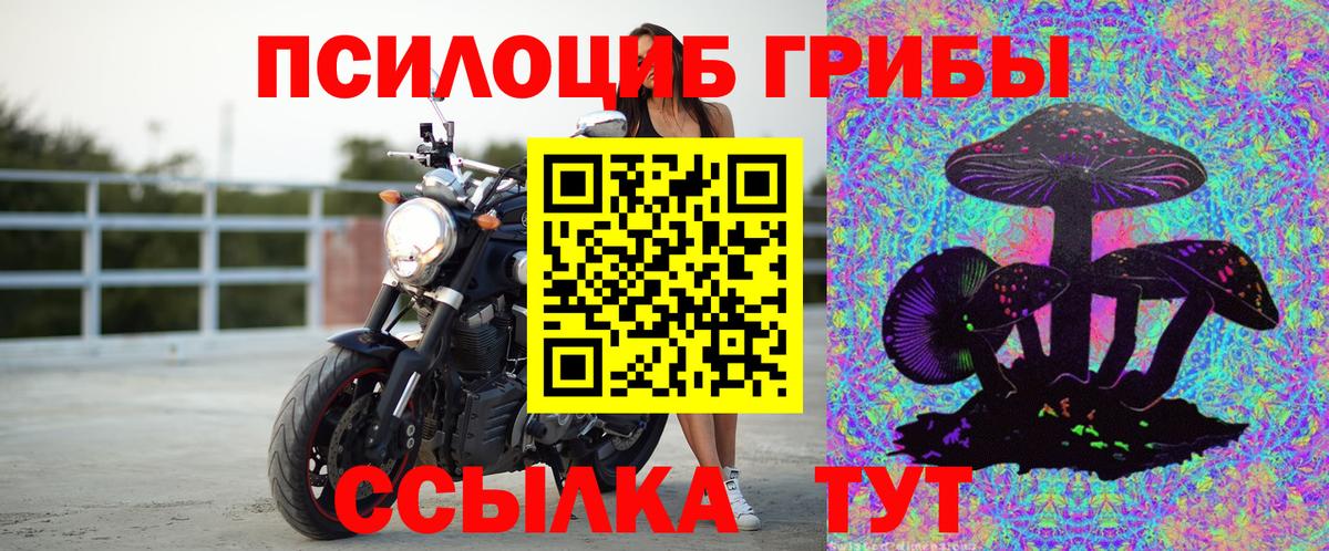 Тверь  Галлюциногенные грибы Psilocybe  купить наркотик  Вход с VPN 